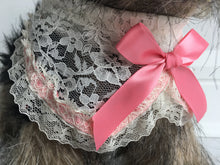 Rounded lace pink collar