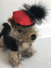 Dog black feather fascinator