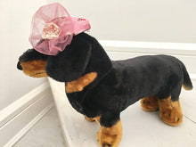 Dog cupcake print fascinator