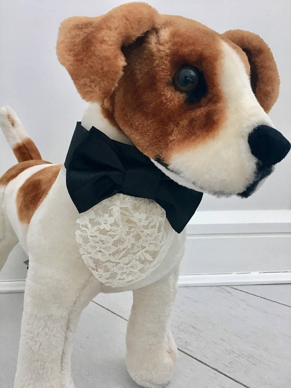 Dog black Bow tie collar