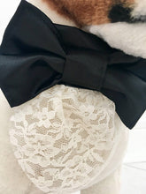 Dog black Bow tie collar