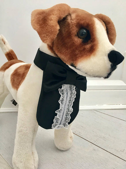 Formal dog black tuxedo