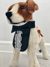 Formal dog black tuxedo