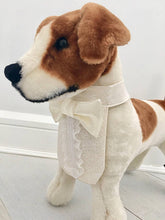 Formal dog white tuxedo