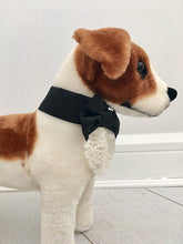 Dog black Bow tie collar