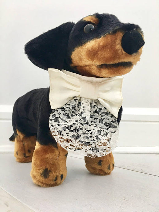Dog satin white Bowtie collar