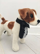 Formal dog black tuxedo