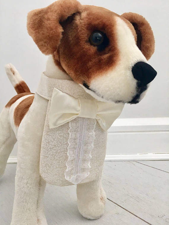 Formal dog white tuxedo