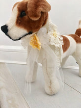Dog wedding lace collar