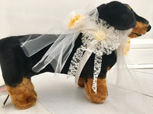 Dog wedding lace collar