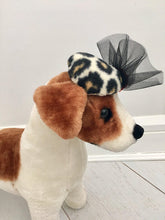 Dog leopard fascinator