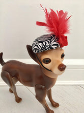 Dog feather fascinator