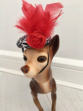 Dog feather fascinator