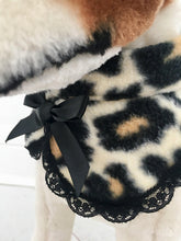 Leopard rounded collar