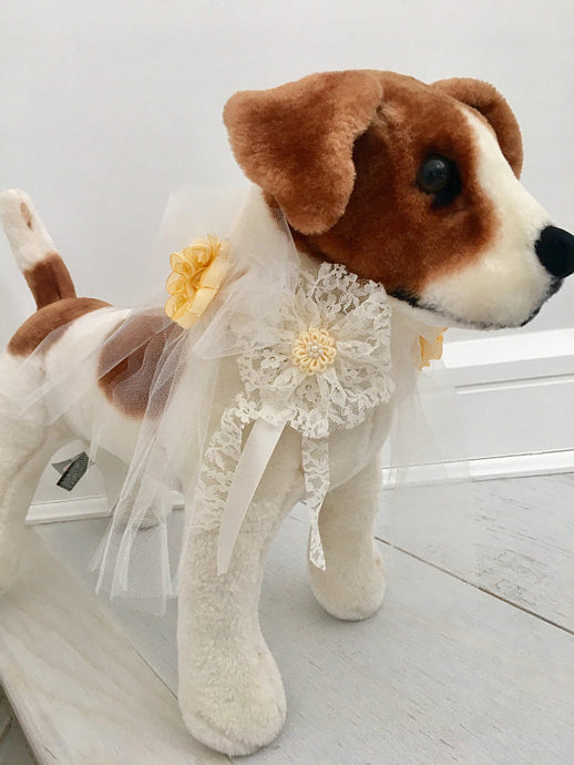 Dog wedding lace collar