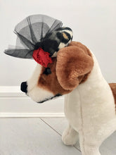 Dog leopard fascinator