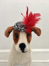 Dog feather fascinator