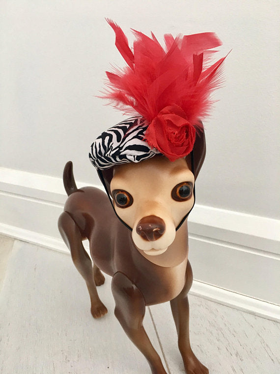 Dog feather fascinator