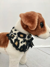 Leopard rounded collar