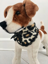 Leopard rounded collar