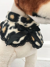 Leopard rounded collar